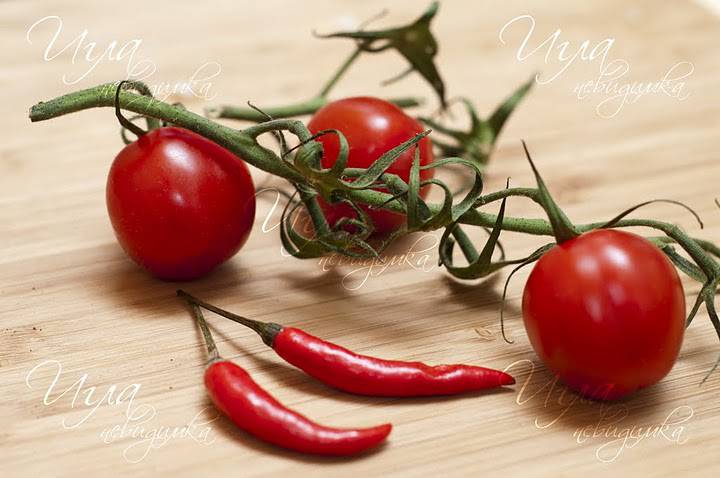 DSC_7203.jpg DSC_7203.jpg