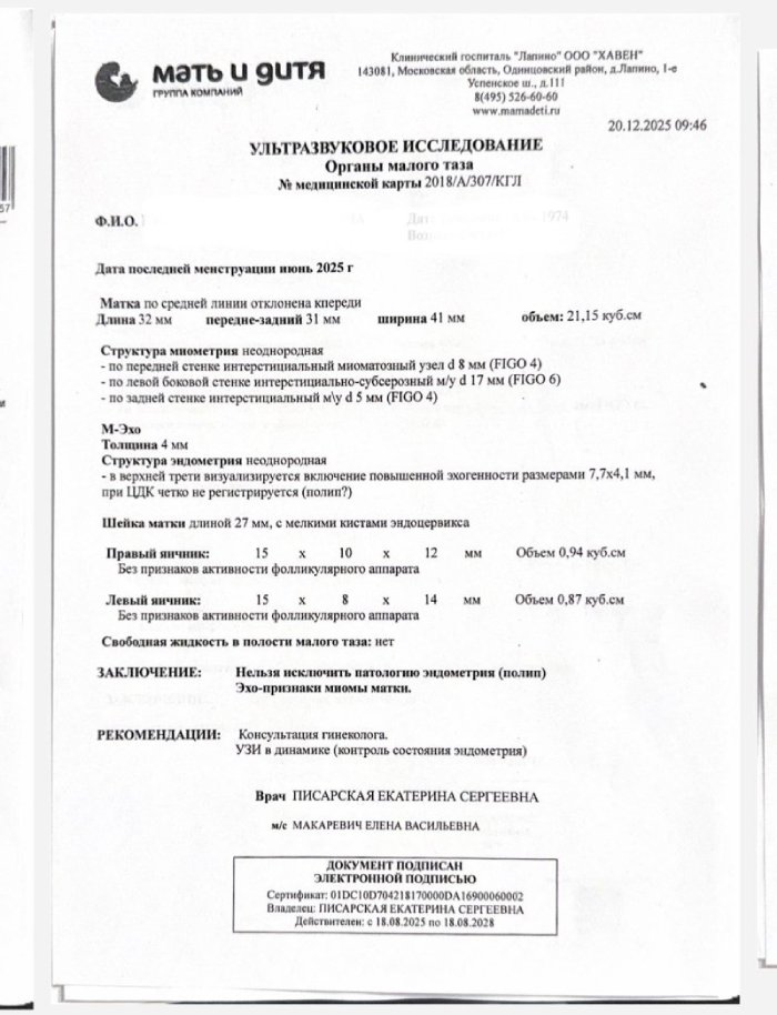 УЗИ органов малого таза