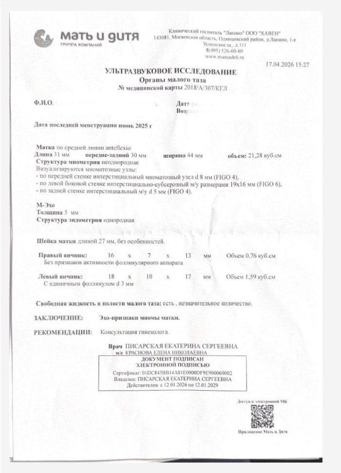 УЗИ органов малого таза